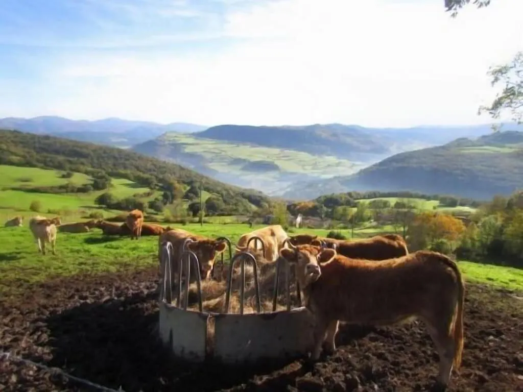 Casa Rural Arteondo Orduña 0*,  España